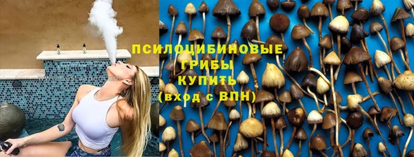 a pvp Абинск