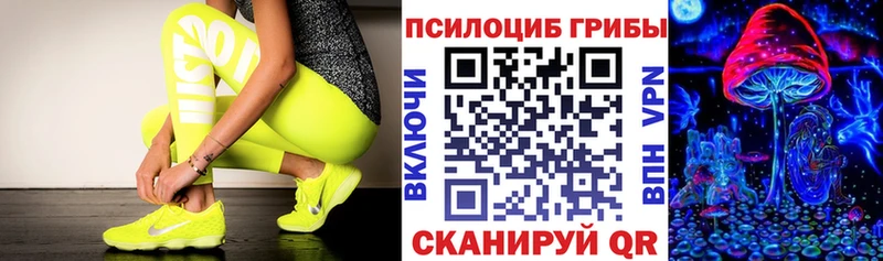 Галлюциногенные грибы прущие грибы  Прохладный 