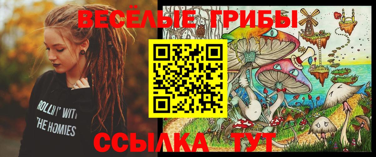 Галлюциногенные грибы прущие грибы Прохладный